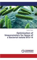 Optimization of Bioparameters for Lipase of a Bacterial Isolate Bts-14