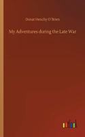 My Adventures during the Late War