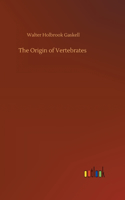 Origin of Vertebrates