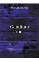 Gaudium crucis: (English)