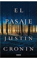 El Pasaje
