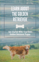 Learn About The Golden Retriever