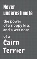 Never underestimate the power of a sloppy kiss and a wet nose of a Cairn Terrier