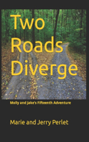 Two Roads Diverge