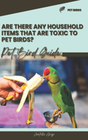 Are there any household items that are toxic to pet birds?