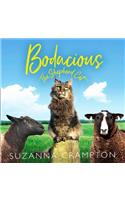 Bodacious: The Shepherd Cat