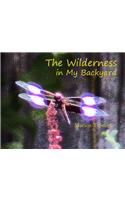 Wilderness in My Backyard