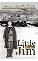 Little Mormon Jim: (English)