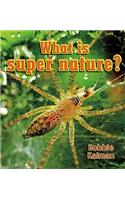 What Is Super Nature?