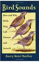 Bird Sounds