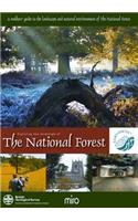 Exploring the Landscape of The National Forest