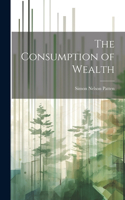 Consumption of Wealth