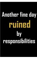 Another fine day ruined by responsibilities