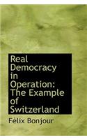 Real Democracy in Operation