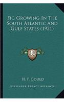 Fig Growing In The South Atlantic And Gulf States (1921)