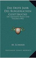 Das Erste Jahr Des Burgerlichen Gesetzbuchs: Die Gesammte Praxis Und Theorie (1901)