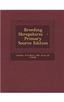 Breeding Shropshires