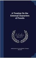 Treatise On the External Characters of Fossils