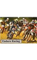 Enduro Racing 2017