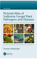 Pictorial Atlas of Soilborne Fungal Plant Pathogens and Diseases