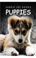 Puppies - Sandie Lee Books