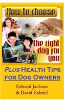 How To Choose The Right Dog For You