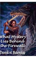 What Mystery Lies Behind The Firewall