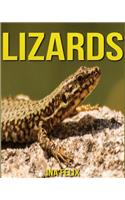 Lizards