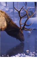Winter Elk Notebook: 150 Page Notebook Journal Diary