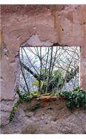 View Through a Window in an Abandoned House Journal
