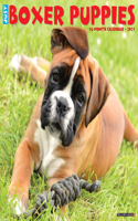 Just Boxer Puppies 2021 Wall Calendar (Dog Breed Calendar)