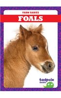 Foals