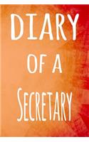 Diary of a Secretary: The perfect gift for the professional in your life - 119 page lined journal