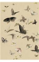 Notebook Journal: Vintage Butterfly Water Color Blank Lined Journal Notebook Beautiful High Quality 6x9 120-Page Butterflies Writing Journals To Write In Soft Cover J