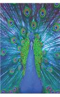 Notes: Lined Notebook 120 Pages (6 X 9 Inches) Ruled Writing Journal with a Colorful Peacock Cover