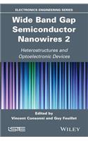 Wide Band Gap Semiconductor Nanowires 2