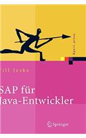 SAP für Java-Entwickler: Konzepte, Schnittstellen, Technologien(Xpert.press)