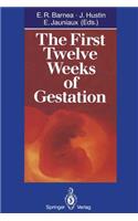 First Twelve Weeks of Gestation