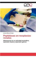 Peptidasas En Neoplasias Renales