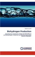 Biohydrogen Production