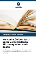 Heliconia Golden torch unter verschiedenen Siliziumquellen und -dosen