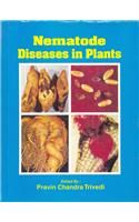 Nematode Disease In Plants