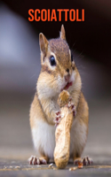 Scoiattoli