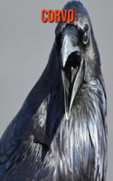 Corvo