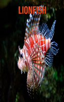 Lionfish: Amazing Facts about Lionfish