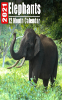 Calendrier 2021 Elephants