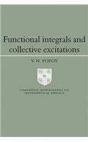 Functional Integrals and Collective Excitations