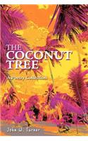 The Coconut Tree