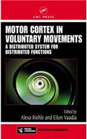 Motor Cortex in Voluntary Movements