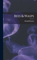 Bees & Wasps